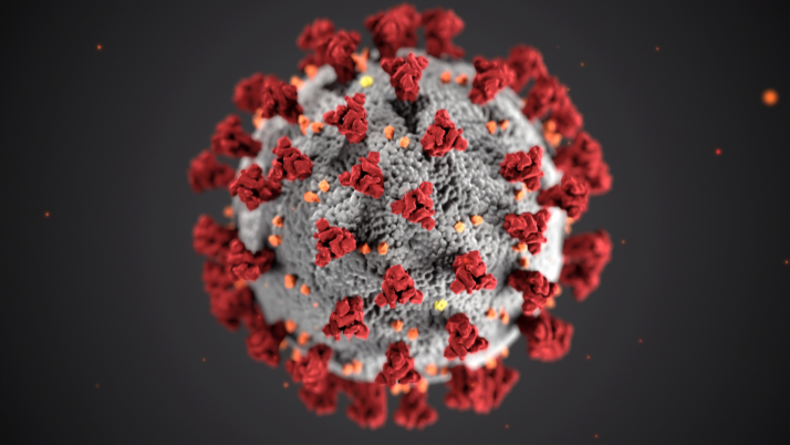COVID19, corona virus